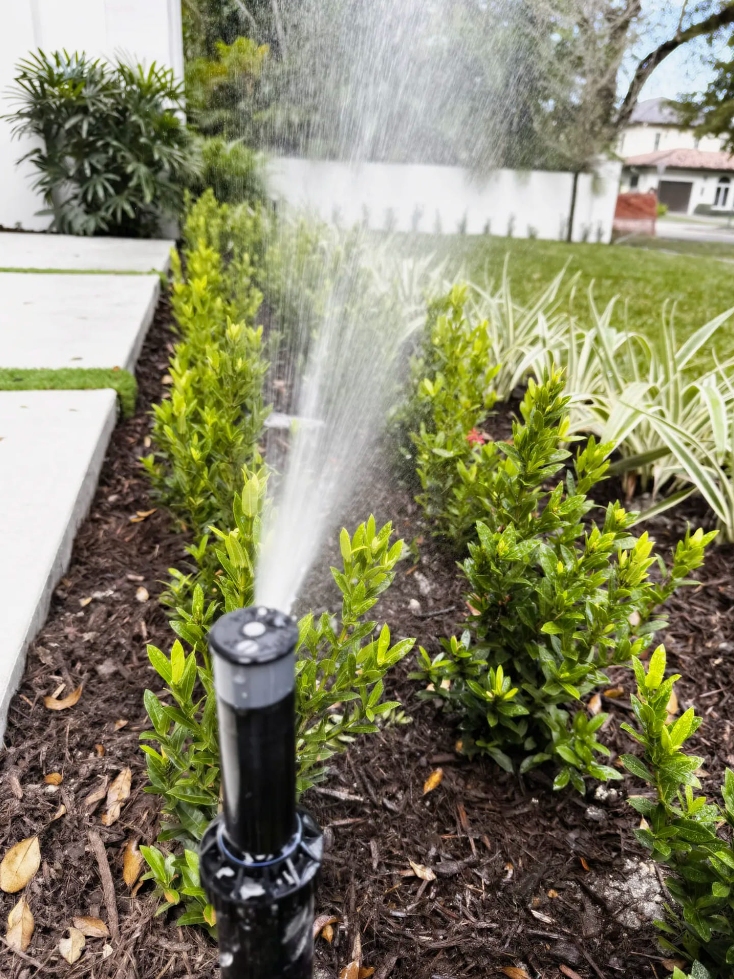 Sprinkler irrigation system watering green grass