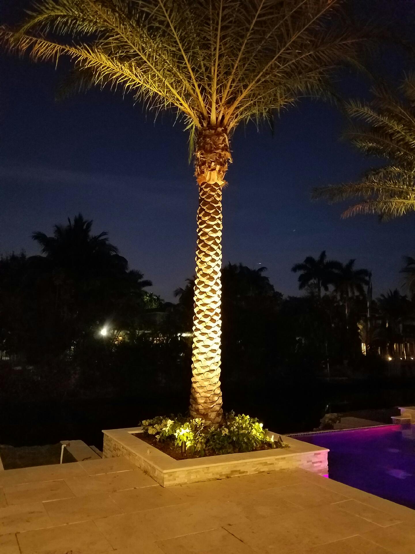 Landscape lighting around a modern home exterior