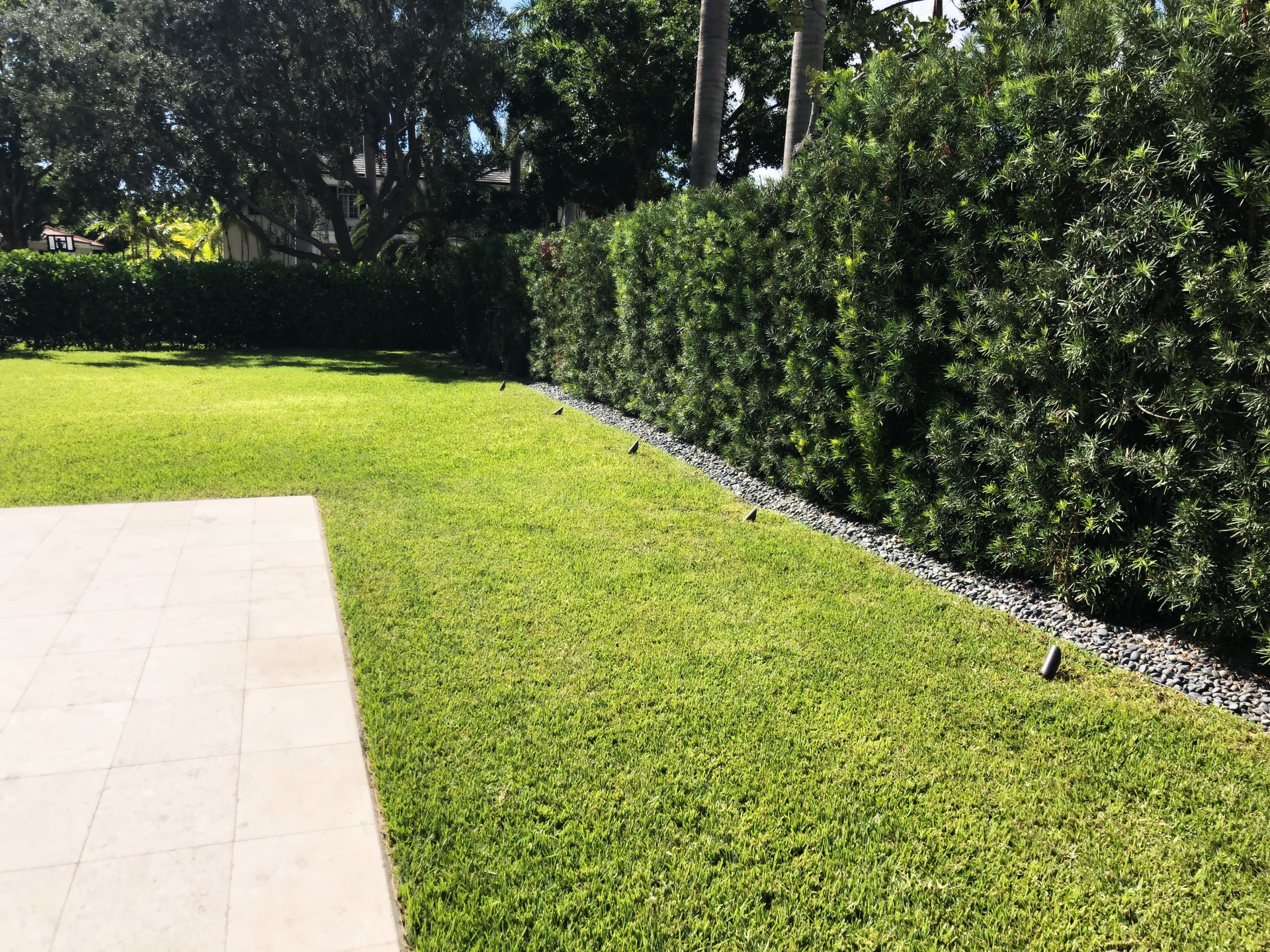 Professional landscaping maintenance and lawn service